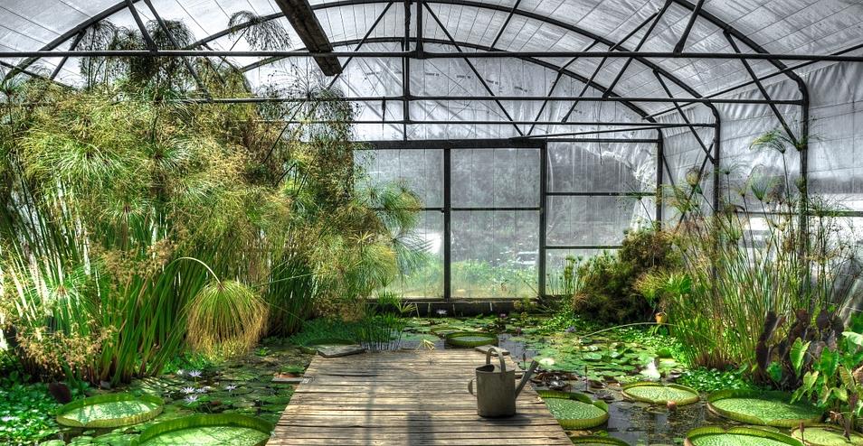 wholesale greenhouse supplies.jpg