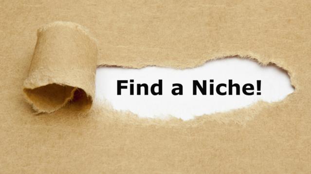 niche market ideas.jpg