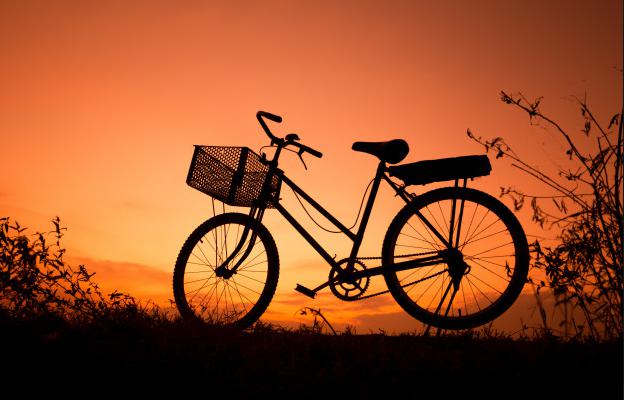 Wholesale cycle.jpg