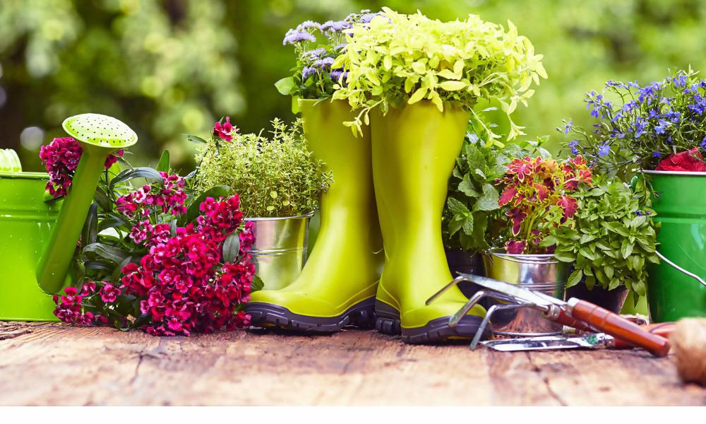 gardening wholesale.jpg