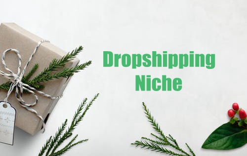 16 Best Examples Of Dropshipping Niches Ideas That Is Evergreen.jpeg