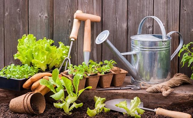 garden supplies wholesalers.jpg
