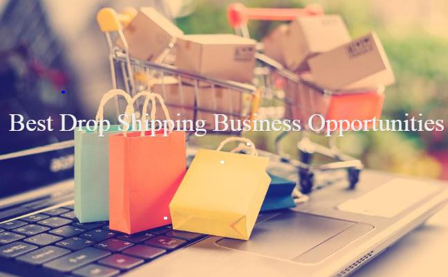 Dropshipping Business Opportunities for US UK India.jpg