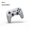 Pro 2-Gray