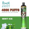 Mint-Ice