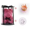 pink crown LED Light