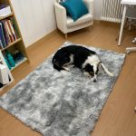 Thick Carpet for Living Room Plush Rug Children Bed Room Fluffy Floor Carpets Window Bedside Home Decor Rugs Soft Velvet Mat photo review