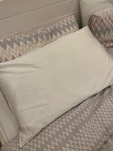 Free shipping 100% nature mulberry Silk pillowcase zipper pillowcases pillow case for healthy standard queen king multicolor photo review