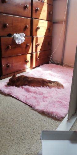 Pink Carpet for Girls Shaggy Children's Floor Soft Mat Living Room Decoration Teen Doormat Nordic Red Fluffy Large Size Rugs photo review