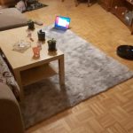 Thick Carpet for Living Room Plush Rug Children Bed Room Fluffy Floor Carpets Window Bedside Home Decor Rugs Soft Velvet Mat photo review