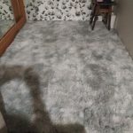 Thick Carpet for Living Room Plush Rug Children Bed Room Fluffy Floor Carpets Window Bedside Home Decor Rugs Soft Velvet Mat photo review