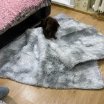 Thick Carpet for Living Room Plush Rug Children Bed Room Fluffy Floor Carpets Window Bedside Home Decor Rugs Soft Velvet Mat photo review