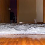 Thick Carpet for Living Room Plush Rug Children Bed Room Fluffy Floor Carpets Window Bedside Home Decor Rugs Soft Velvet Mat photo review
