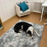 Thick Carpet for Living Room Plush Rug Children Bed Room Fluffy Floor Carpets Window Bedside Home Decor Rugs Soft Velvet Mat photo review