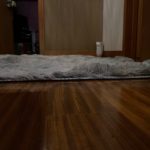 Thick Carpet for Living Room Plush Rug Children Bed Room Fluffy Floor Carpets Window Bedside Home Decor Rugs Soft Velvet Mat photo review